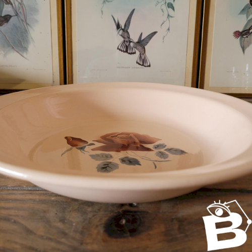 Plat rond creux Digoin Sarreguemines modèle 9481 (9181)