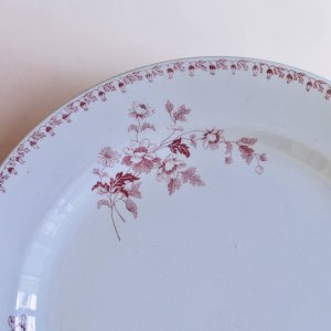 dot