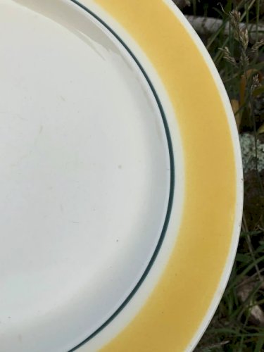 Plat vintage GIEN modèle Caroline