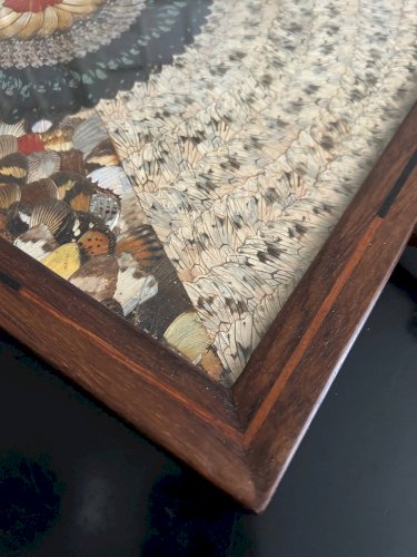 Plateau en bois et décor ailes de papillons