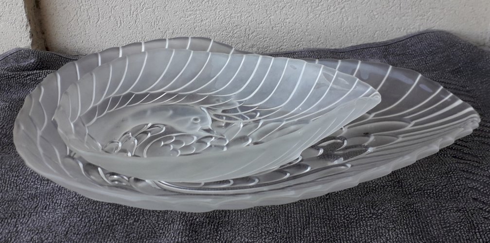 Plats en verre cygne