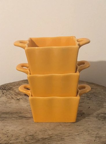 Plats individuels jaunes LBP Magnet