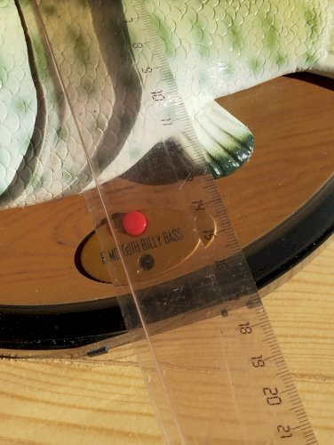 Poisson chantant « Big Mouth Billy Bass » – objet atypique