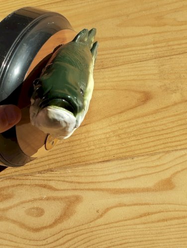 Poisson chantant « Big Mouth Billy Bass » – objet atypique