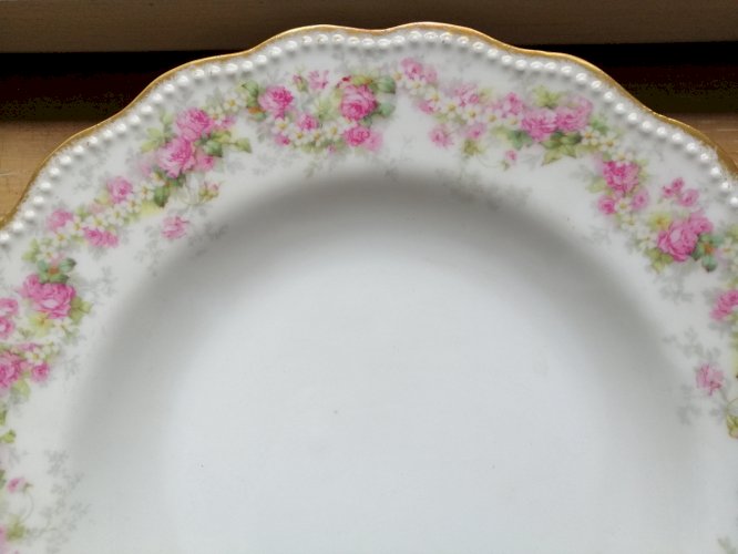 Porcelaine de Limoges A. LANTERNIER