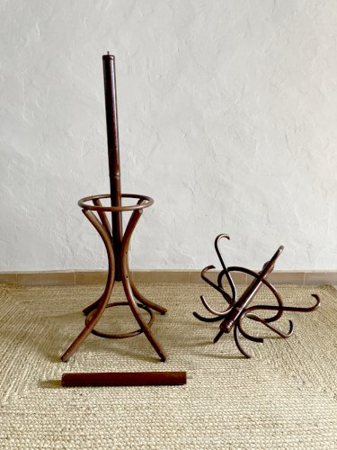 Porte manteau perroquet en bois courbé