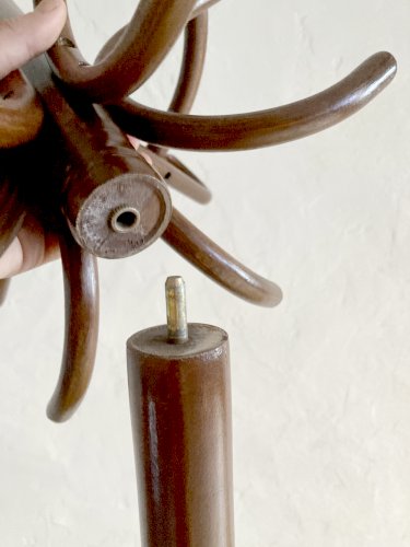 Porte manteau perroquet en bois courbé