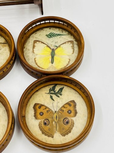 Porte sous verres vintage en bois avec 6 dessous papillons