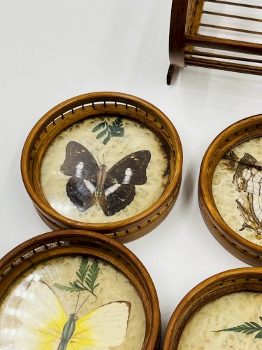 Porte sous verres vintage en bois avec 6 dessous papillons
