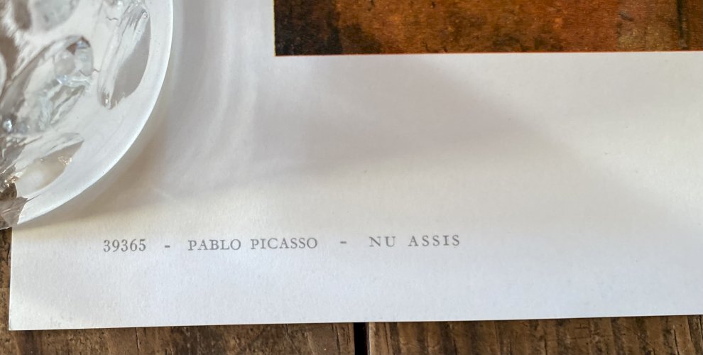 POSTER Pablo PICASSO Tableau "Nu Assis" édition Braun et Cie Vintage 1961