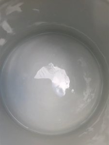dot