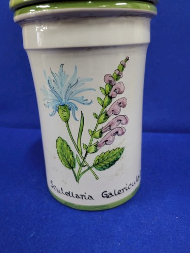 POT A PHARMACIE SCUTELLARIA CALERICULATA KLORANE N° 19
