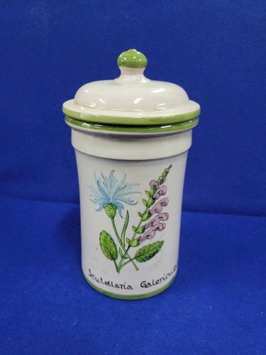 POT A PHARMACIE SCUTELLARIA CALERICULATA KLORANE N° 19