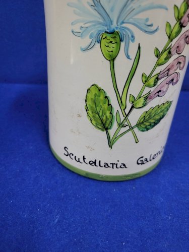 POT A PHARMACIE SCUTELLARIA CALERICULATA KLORANE N° 19