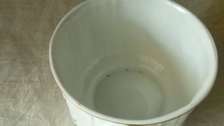 POT COUVERT PETIT BOUILLON EN PORCELAINE DE VIENNE FIN 19 éme**