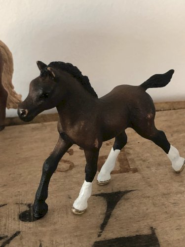 Poulains et cheval Schleich