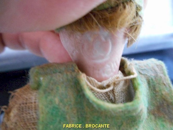 POUPEE TETE PORCELAINE GW GERMANY