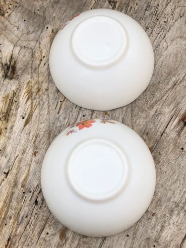 Ramequins Arcopal aux couleurs d automne