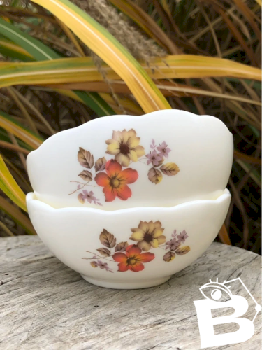 Ramequins Arcopal aux couleurs d automne