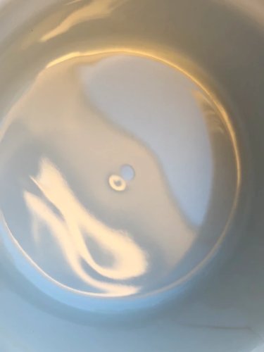 Ramequins en porcelaine