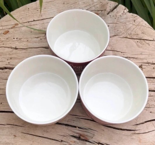 Ramequins pour l apéro DLP