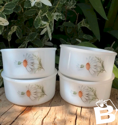 Ramequins vintage Arcopal motif marguerite