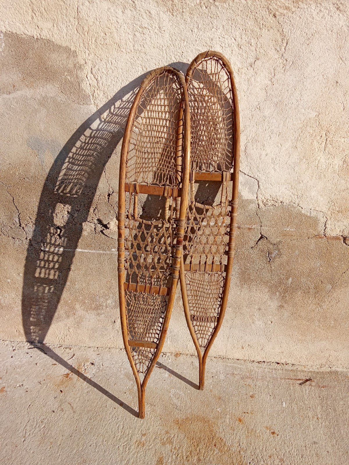 Support à Lunettes En Bois Forme Animal - Sculpture Main, Décoration Bureau, Rangement Fun