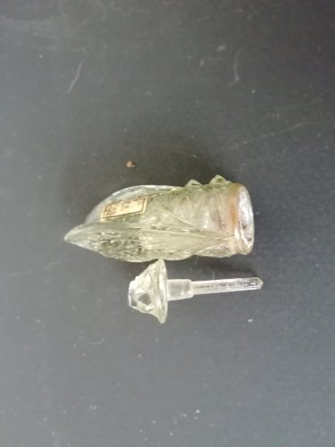 rare flacon à parfum animalier ancien, cigale, après un rêve de Danielly, Nice, Grasse