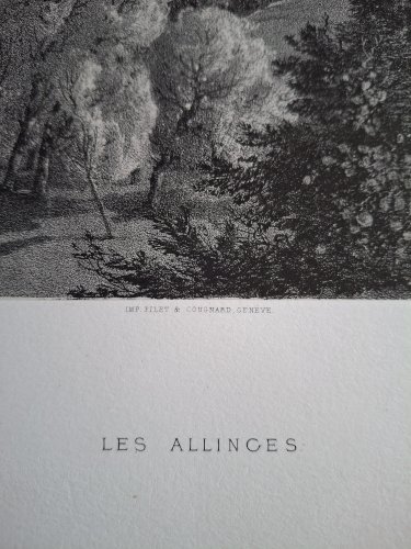 Rare Gravure vue de Allinges Haute Savoie à côté de Thonon original de 1866 très bon état
