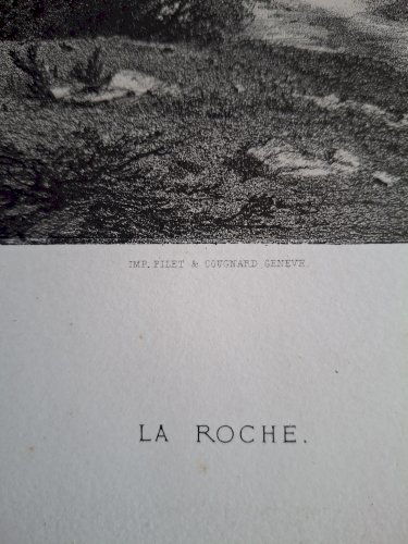 Rare Gravure vue de La Roche sur Foron Haute Savoie original de 1866 très bon état