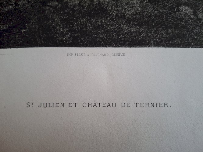 Rare Gravure vue de Saint Julien en Genevois Haute Savoie original de 1866 très bon état