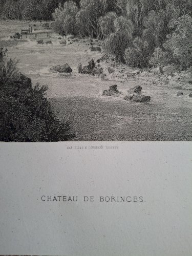 Rare Gravure vue du château de Boringes près de Annemasse Haute Savoie original de 1866 très bon état