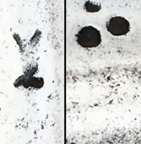 RARISSIME & MAGNIFIQUE SABRE NIMCHA LAME MAQUÉE XIX ORIGINAL