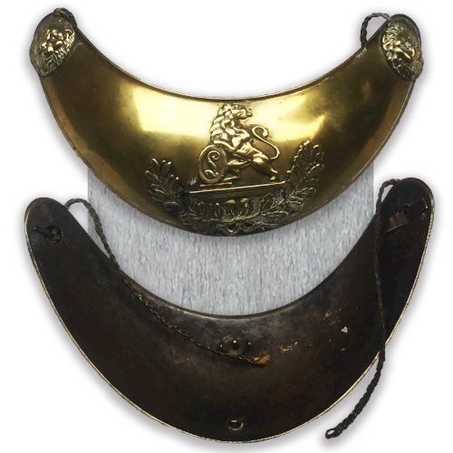 RARISSIME & SUBLIME ÉPÉE BELGE D'OFFICIER MOD.1845 COLONIALE (?) LEOPOLD XIX ORIGINAL