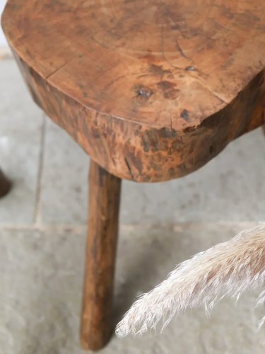 Regis, la paire de tabourets brutalistes en bois N°851