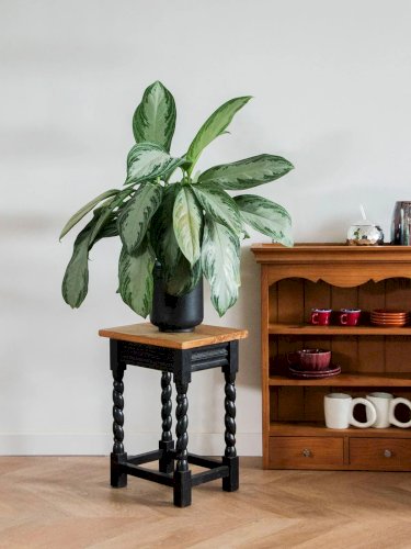 Regis, le tabouret en bois N°672