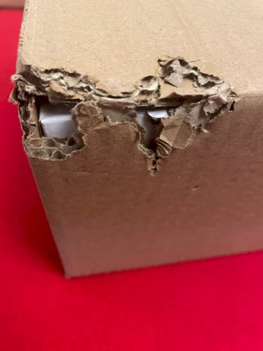 Renault Megane 2 Ph.2 Renault F1 Team Edition (2006) 1/18 Ottomobile