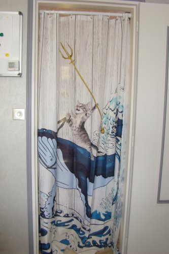 RIDEAU + TRINGLE  de douche