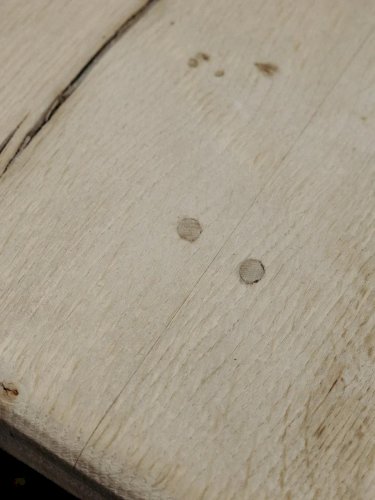 Romy, la grande table de monastère N°432