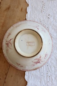 dot