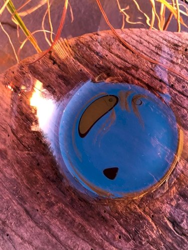 Saladier en verre couleur prune