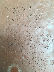 dot