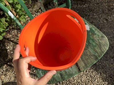 dot