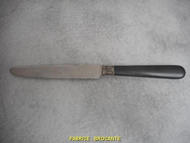 SERIE DE 12 COUTEAUX + SERVICE A DECOUPER