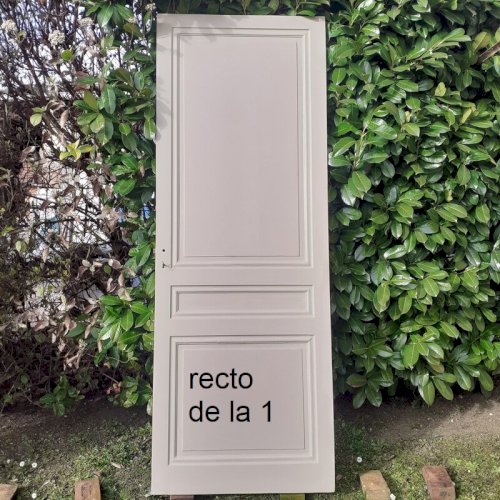 Série de 4 Portes de communication intérieures anciennes bois massif panneautées moulurées