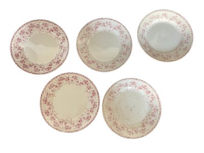 serie de 5  Assiettes  De Choisy Le Roi Terre De Fer  Fin 19ème décor floral