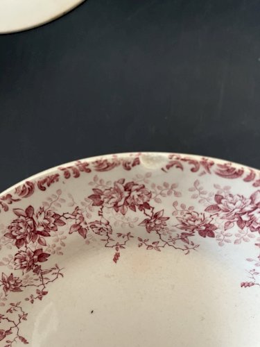 serie de 5  Assiettes  De Choisy Le Roi Terre De Fer  Fin 19ème décor floral