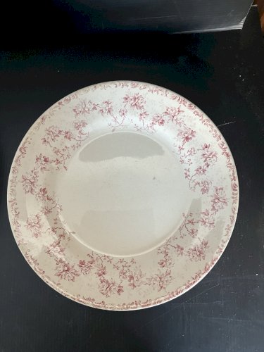 serie de 5  Assiettes  De Choisy Le Roi Terre De Fer  Fin 19ème décor floral