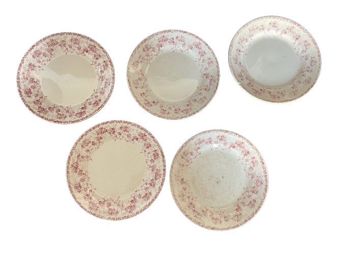 serie de 5  Assiettes  De Choisy Le Roi Terre De Fer  Fin 19ème décor floral
