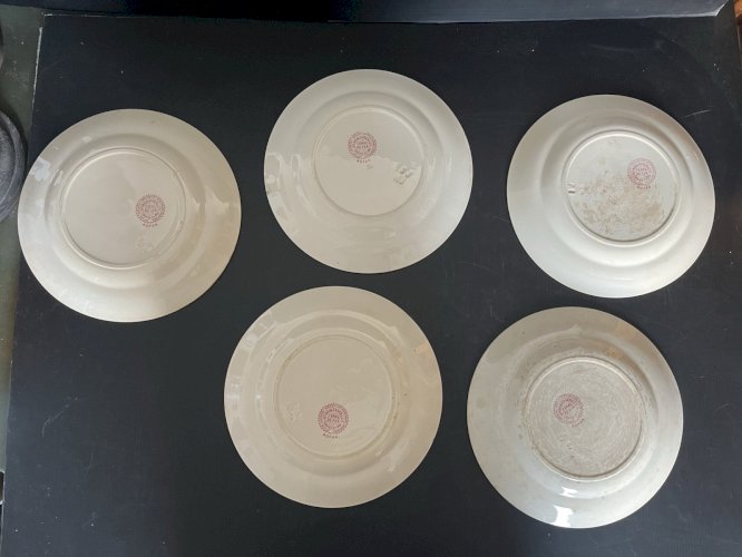 serie de 5  Assiettes  De Choisy Le Roi Terre De Fer  Fin 19ème décor floral